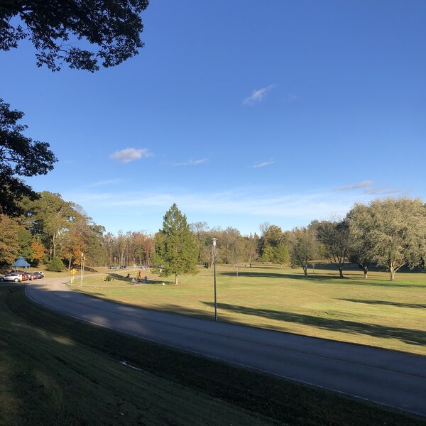 View of McLane Park from the trail