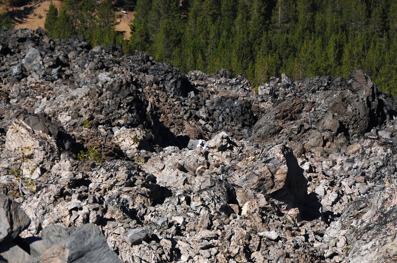 Hiker for scale, dead center. The trail is not very visible when you're looking around, but you'll know it when you see it.