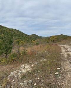 View from an open glade along the trail.