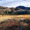 Scenic view just off the Walker Ranch Loop trail.