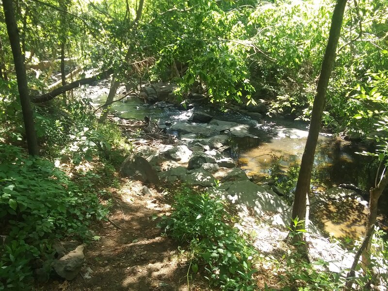 Overlooking Ellerbee Creek