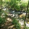 Overlooking Ellerbee Creek