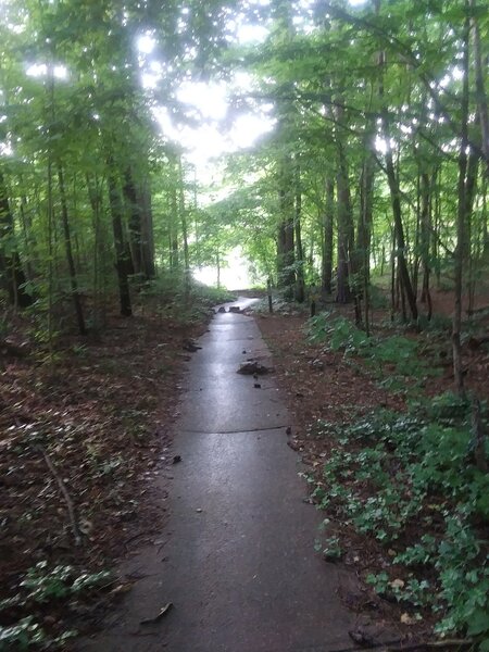 View of Falls Lake