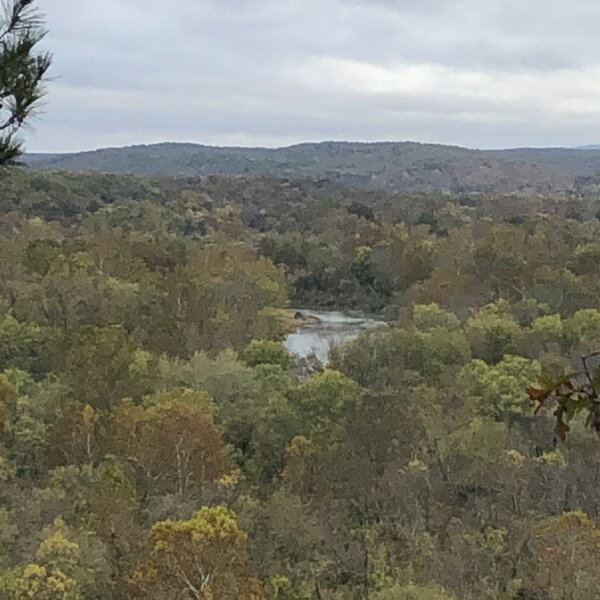 Eagle bluff views