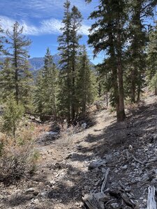 Trail is faint at times.