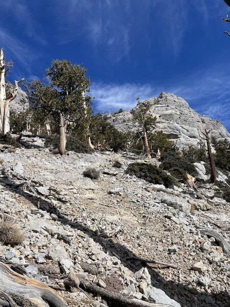 Steep ascent