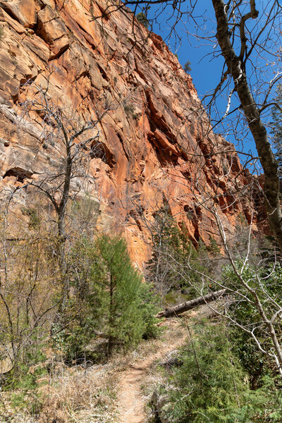 La Verkin Canyon narrows spectacularly about a mile past the Hop Valley junction