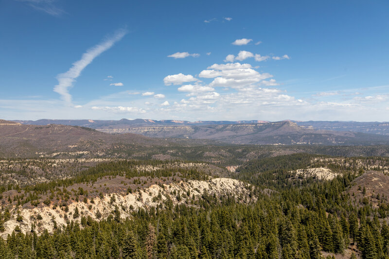 View north from Lava Point.