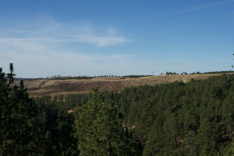 The view from the platform overlooking the Black Hills National Forest. You can see the ponderosa pine forest that makes up a great deal of Jewel Cave National Monument.