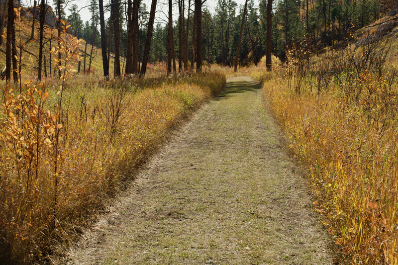 The trail turns to grass as it moves through the canyon.