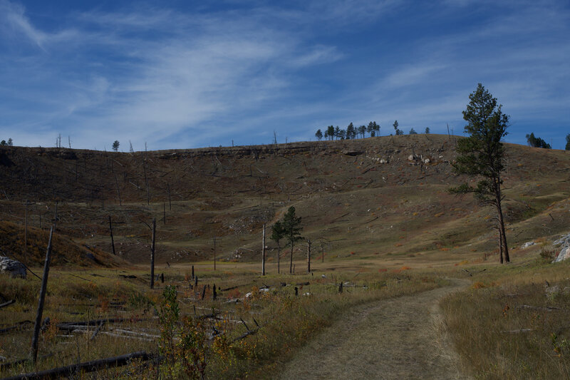 The Canyons Trail meanders through the Jasper Fire burn scar from the year 2000.   It gives you a sense of how the landscape can recover from fire.