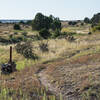 Well marked trail across the prairie.