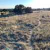 Singletrack trail across the prairie.