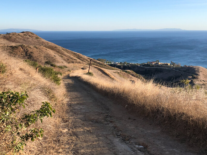 Puerco Canyon Motorway looking back towards the ocean from above the switchbacks.