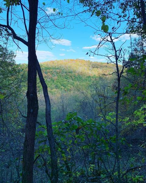 Sunshine on the hilltop.