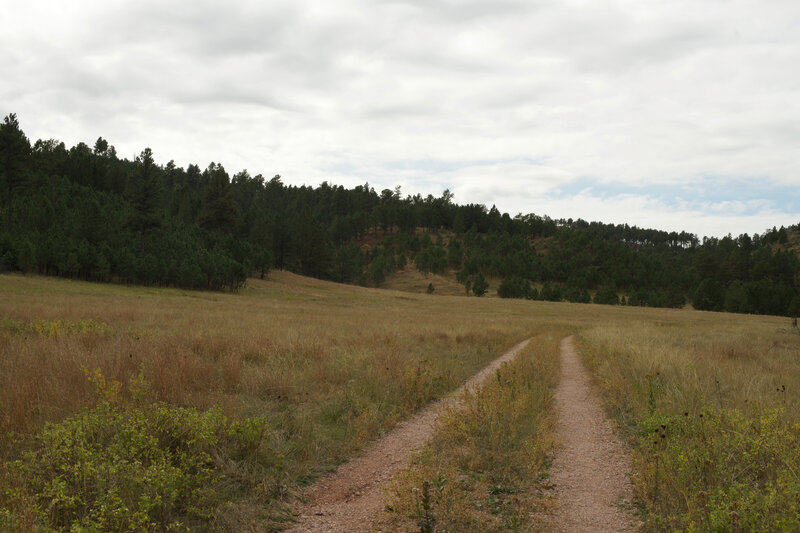 The trail as it meanders through an open field.