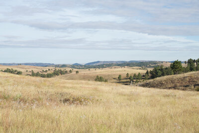 A view across Wind Cave NP from the Elk Mountain Trail.