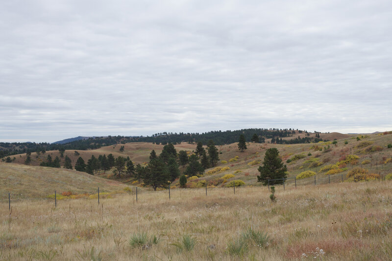 Views of the Black Hills and prairies from the Prairie Vista Trail.