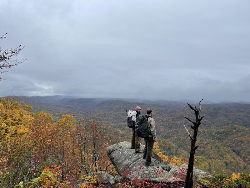 Buzz Work Overlook