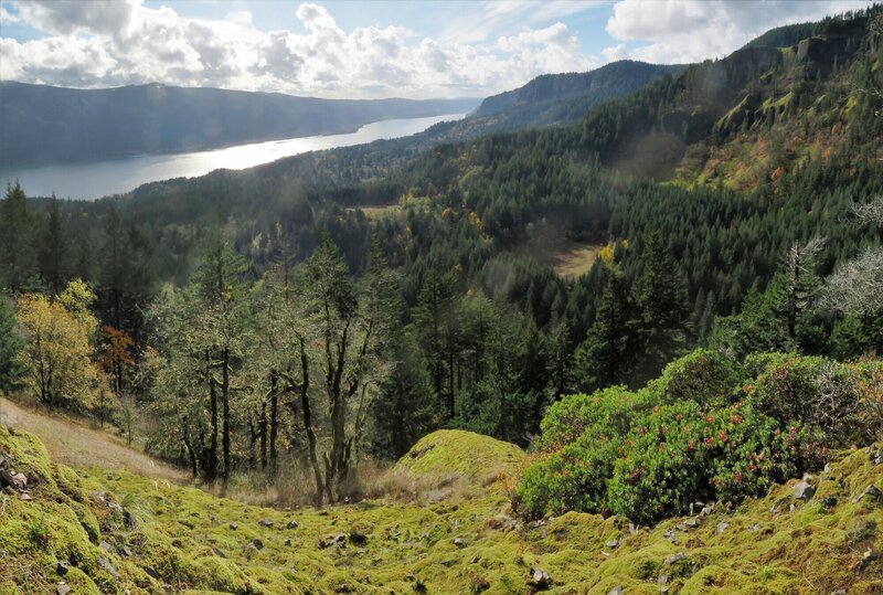 The view from Scott Point.