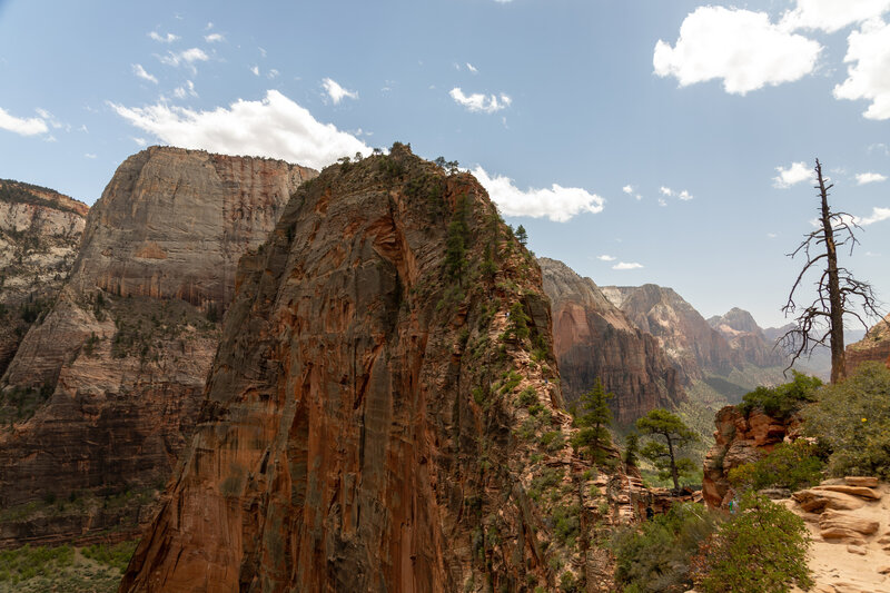 The final ascent to Angels Landing is not for the faint of heart.