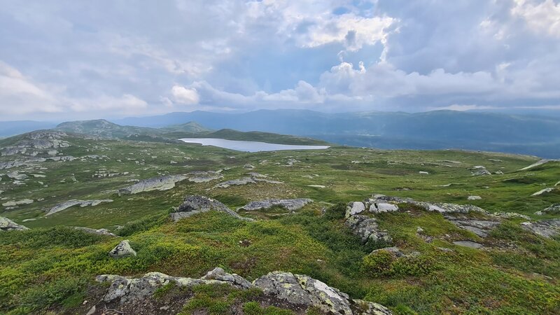 Tjønngrønuten mot Svarttjønn