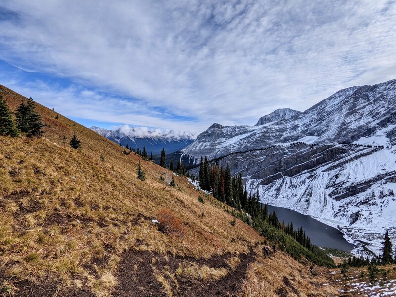 Partway up the avalanche shoot.