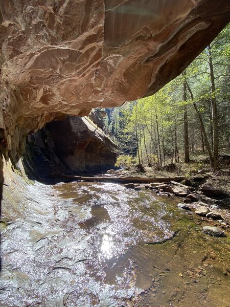 Awesome red rock half pipes just off the side of the trail!