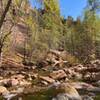 Babbling creek and beautiful fall colors in November.