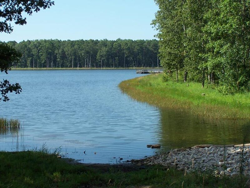 Pinewoods Lake from the trail.