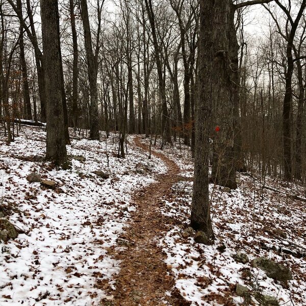 Winter along the trail.