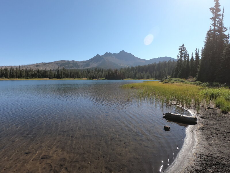 3-Fingered Jack from Santiam Lake (9-1-2021)