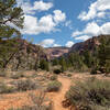 La Verkin Creek Trail can be quite sandy at times.