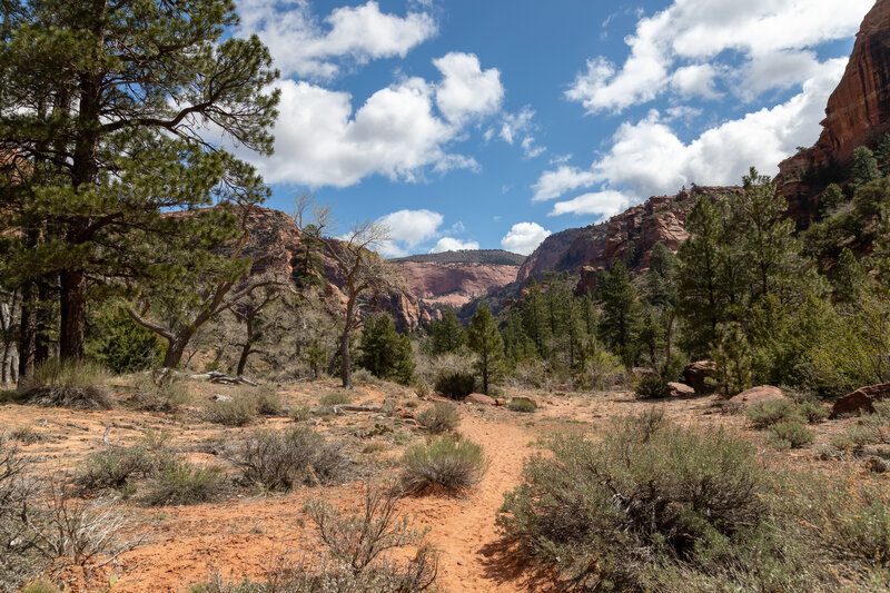 La Verkin Creek Trail.