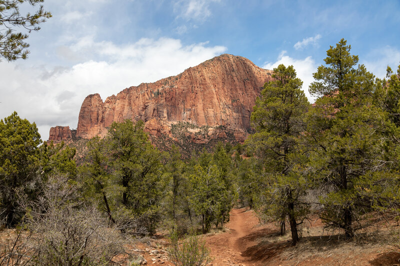 La Verkin Creek Trail as it parallels Timber Creek.