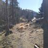 Narrow trail overlooking scenic road, fire damaged trees.