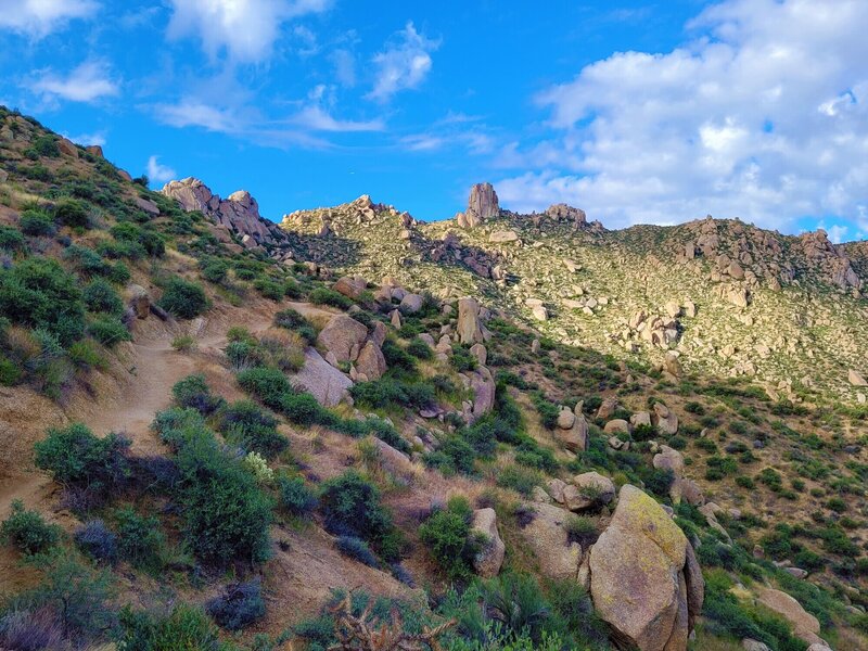View from the trail.