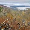 Looking towards the Sugarlands near Gatlinburg.