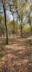 Trail is wide and mostly flat.