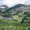 Meadows on the way up Grand Pass