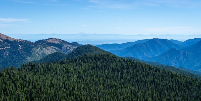 Looking towards the Cascade Mounains from the trail to Obstruction Point.