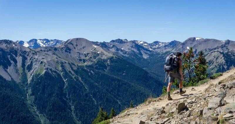 Hiker on the trail to Obstruction Point