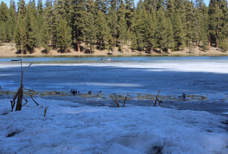 View of Walton lake from the shore April 2021