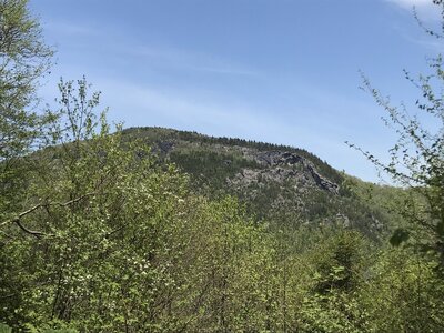 View of the Great Cliffs.