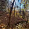 This trail is at least 50% bluff views. Love this hidden gem of a trail!