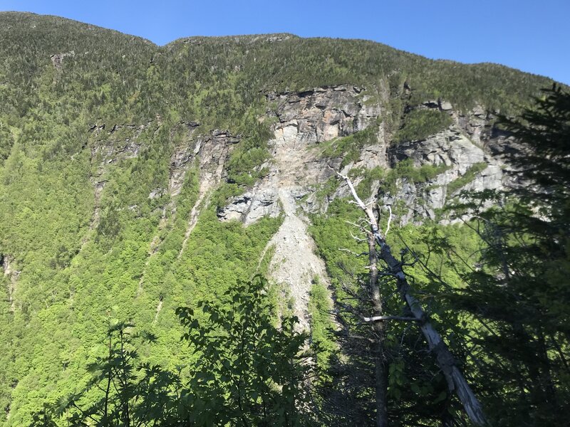 View from the Cliffs.