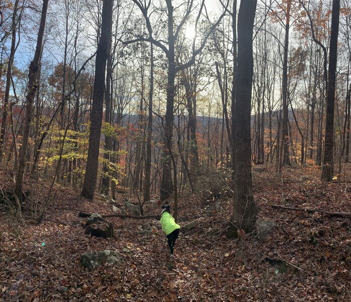 Vista and the fall colors make this trail a great alternative to the crowds at the Walls.