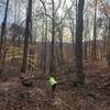 Vista and the fall colors make this trail a great alternative to the crowds at the Walls.