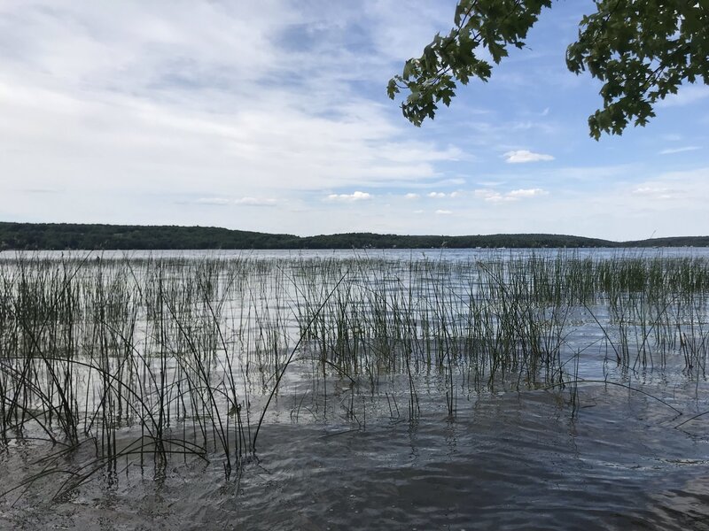 On the shores of Lake Carmi.