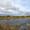 Gravel flat trail along canals and waterways!